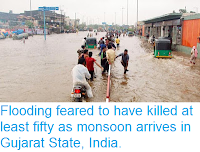 https://sciencythoughts.blogspot.com/2015/06/flooding-feared-to-have-killed-at-least.html