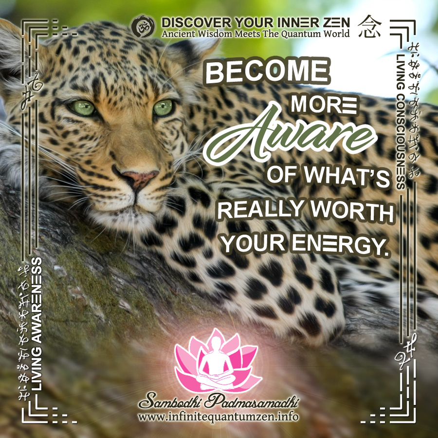 Become Aware of what's really worth your energy - Infinite Quantum Zen, Success Life Quotes