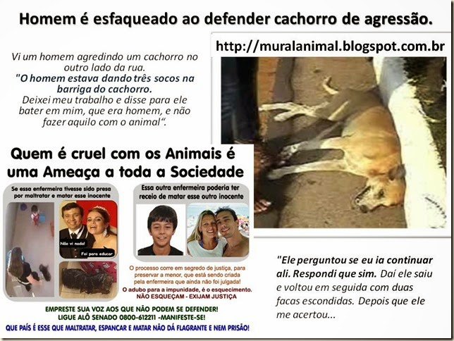 Homem é esfaqueado ao defender cachorro de agressão