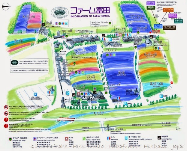 Glória Ishizaka - Farm Tomita 86