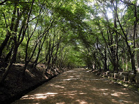 sentiero bulguksa seokguram gyeongju