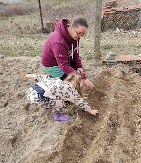 Rosie planting onions