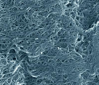 Single-Wall Carbon Nanotubes