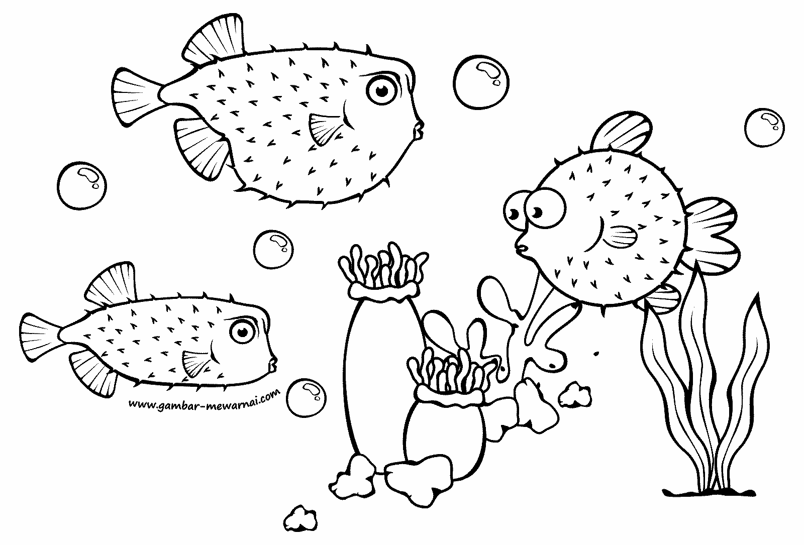 Top Gambar Kartun Hitam Putih Ikan  Kolek Gambar