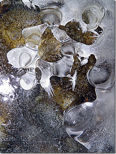 Barb Derksen Ice 2012  (5)
