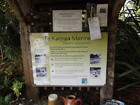 The Welcome sign - Te Kainga Marire, New Plymouth, New Zealand