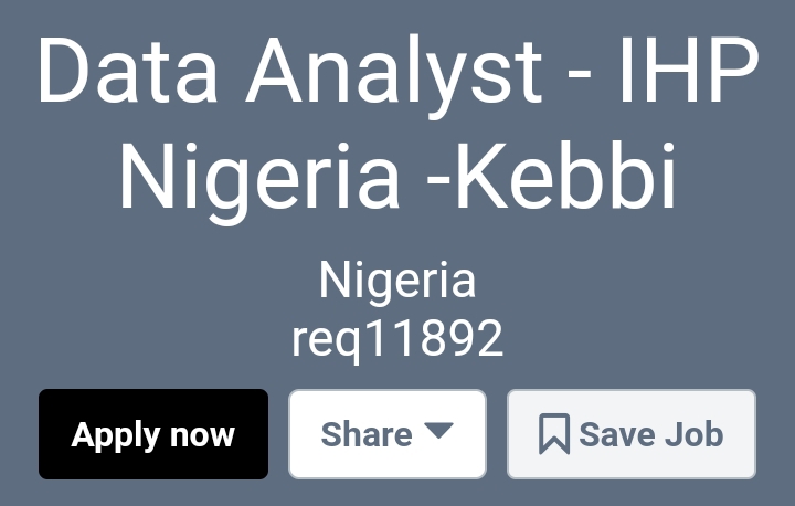 Data Analyst - IHP Nigeria -Kebbi - https://palladium.csod.com