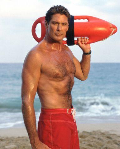 david hasselhoff pictures