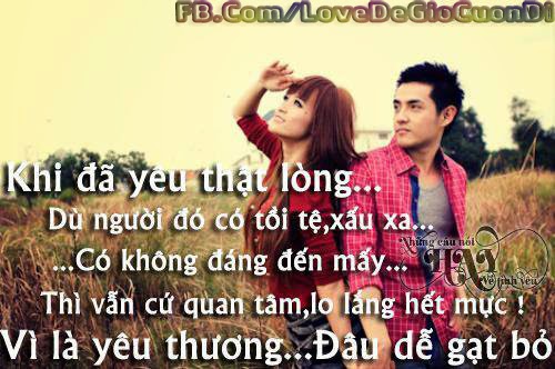  Giay bao ho lao dong 