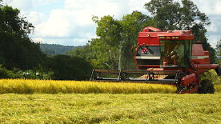 Rio Grande do Sul está entre os cinco estados que alavancaram exportações do agronegócio brasileiro em maio