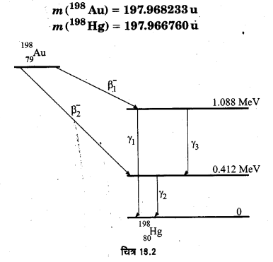 Solutions Class 12 भौतिकी विज्ञान-II Chapter-5 (नाभिक)