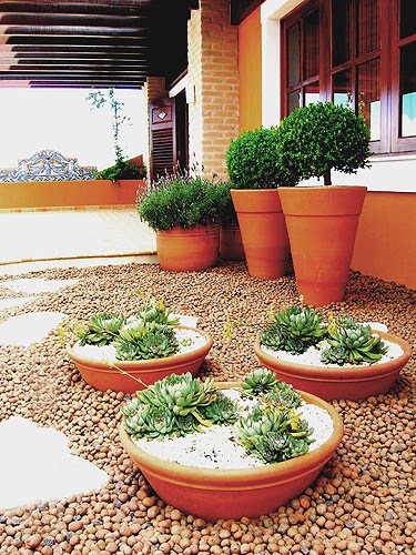 Decoração com plantas 17 ideias para ter um jardim em casa Casa 