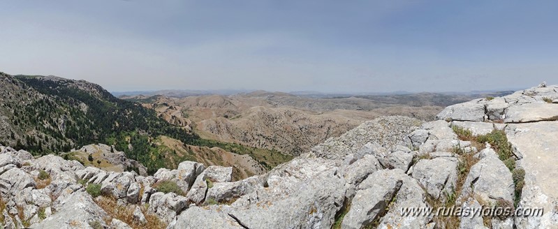 Quejigales-Tajo del Canalizo-Enamorados-Cerro Alto