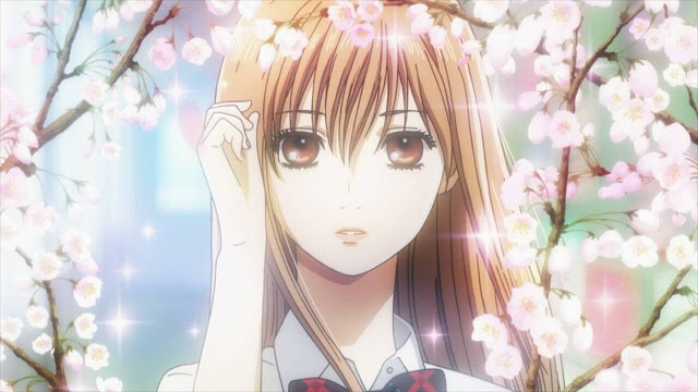 تقرير أنمي Chihayafuru