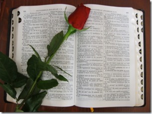 Bible