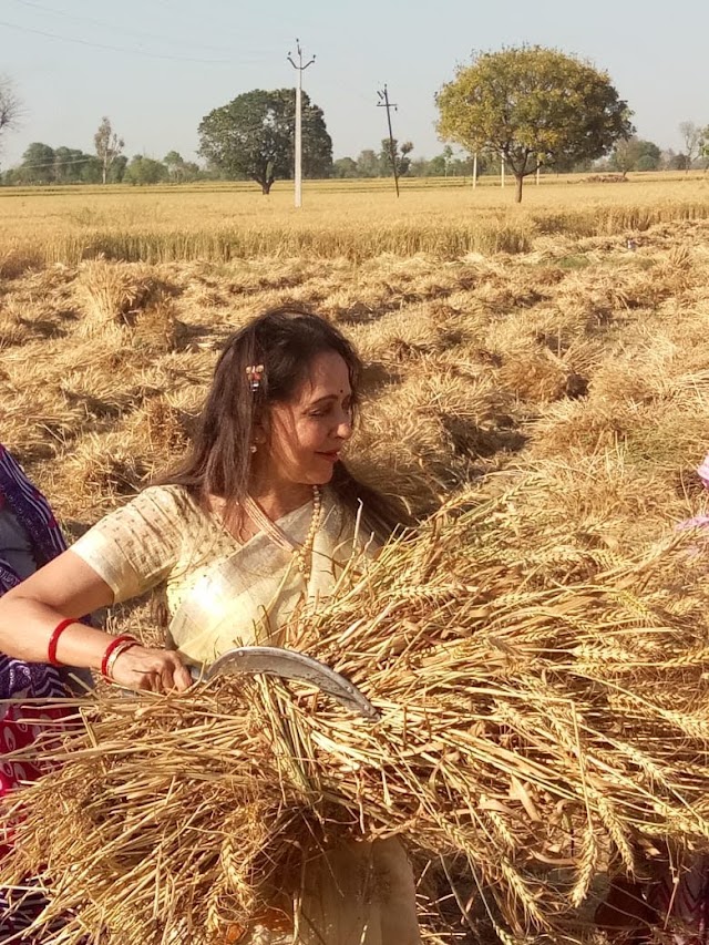 हेमा मालिनी प्रचार के लिए उत्तरी खेतों में...