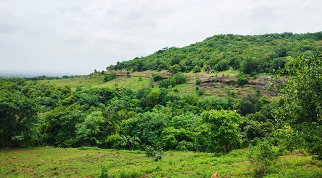 Ananthagiri hills-vikarabad