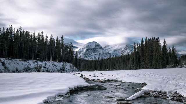 Winter, Mountains, Forest, Snow