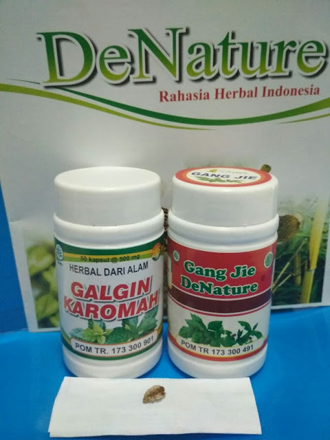 obat herbal batu ginjal/kencing batu, Obat ginjal alami, obat ginjal alami paling ampuh, obat ginjal alami dari tumbuhan, obat ginjal alami seledri