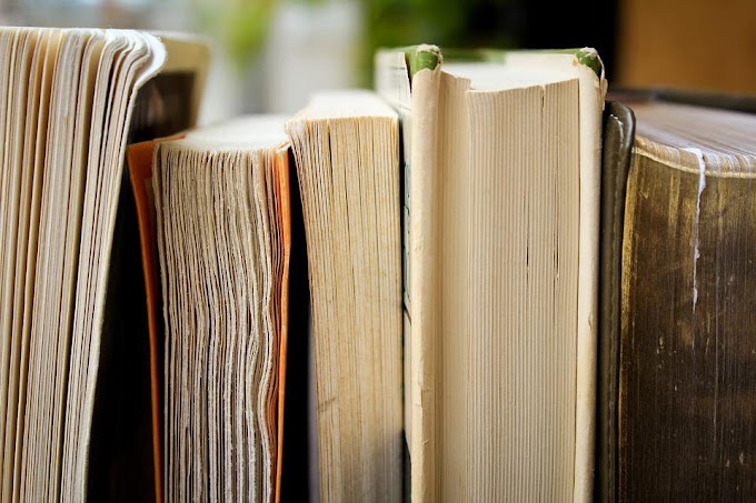 What is a Novel? |5 Best Novels You Must Read Once in Your Life