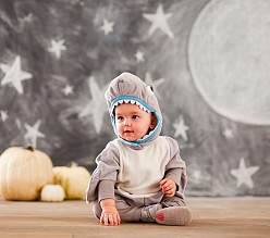 https://www.potterybarnkids.com/shop/halloween/baby-halloween-costumes/?isx=0.0.1840