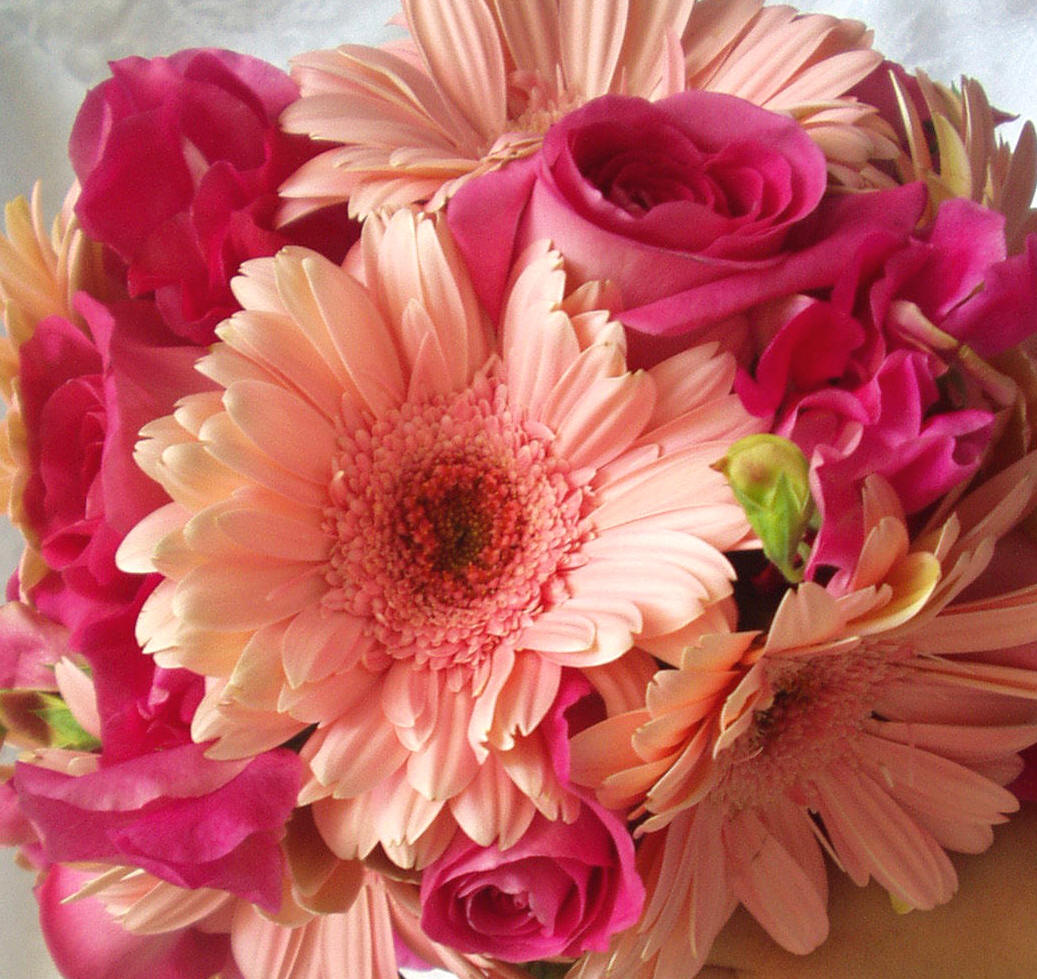 gerbera wedding flowers