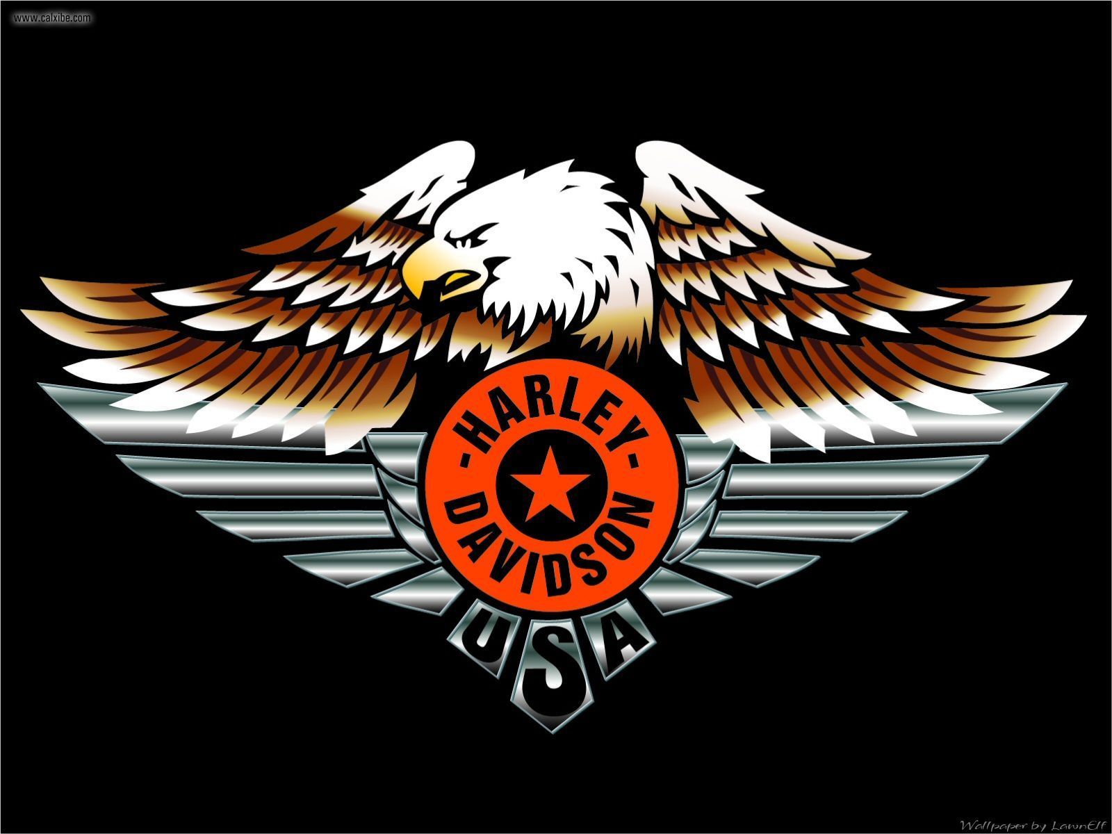 The coolest blog Harley davidson 