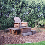 View album