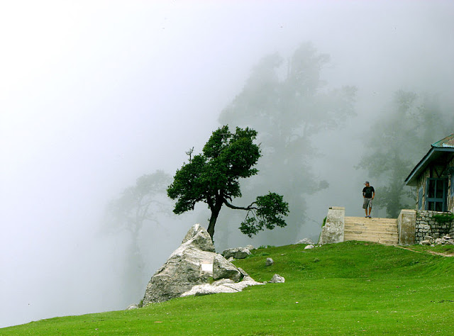 मैकलोडगंज - स्वर्ग के बीच की पहाड़ियाँ, Mcleodganj (Heaven Amidst The Hill Station), https://travelsfastnewsfree.blogspot.com/punjab, hindi news , fast news, health, technology, arts, food, automobile, economics , movie, entertainment, travels , NDTV