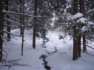 photo of Ponkapoag Pond, Blue Hills, January 2009