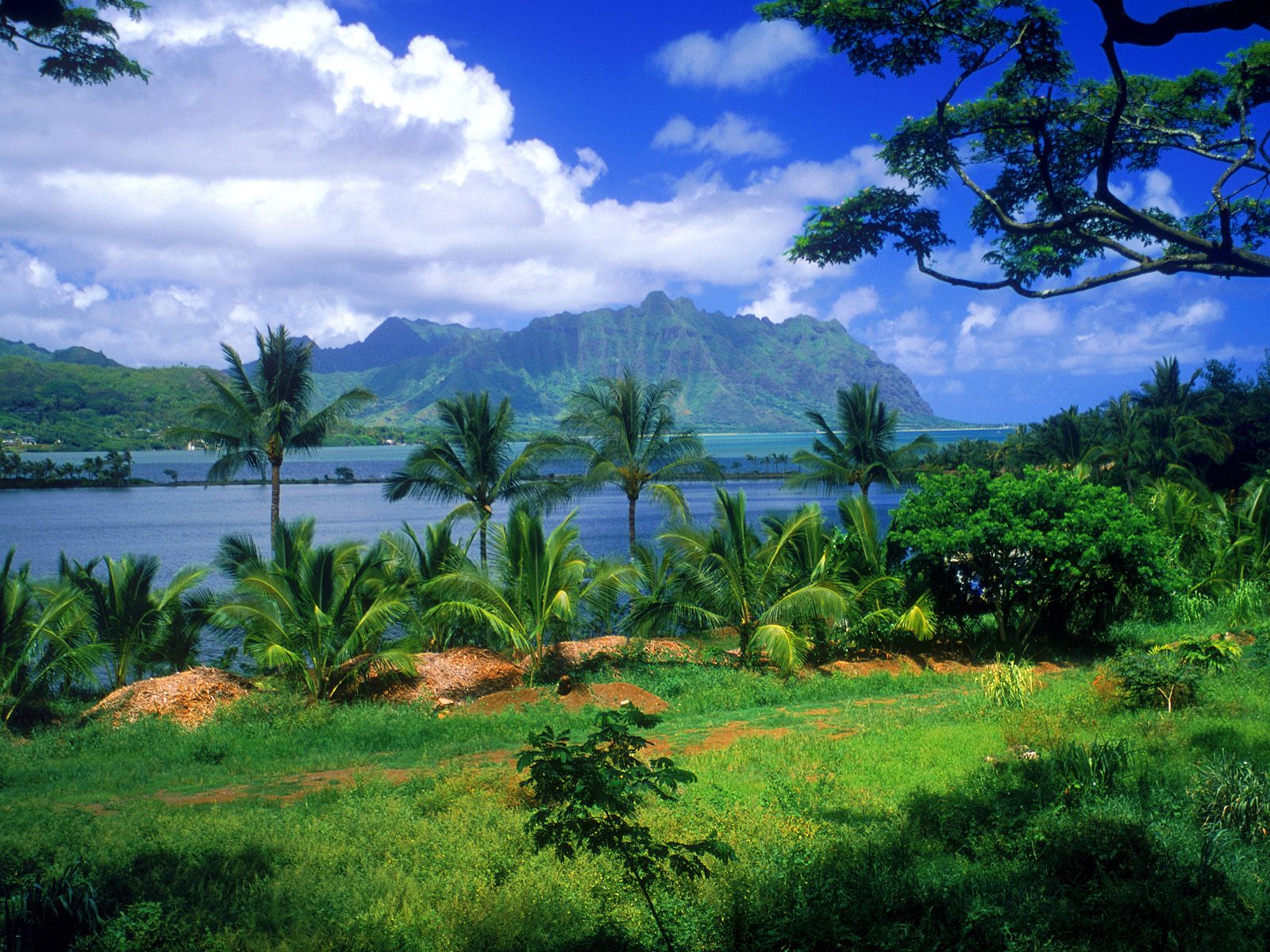 Tropical Beautiful Paradise Wallpapers | HD Wallpapers