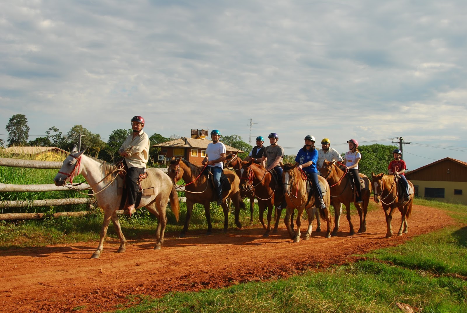 Imagens de maior fazenda de gado do brasil