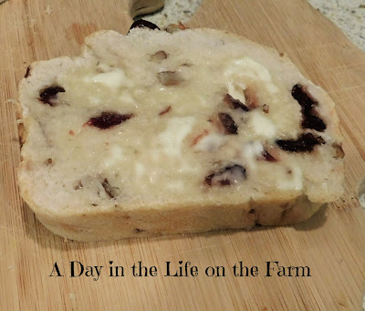 Cranberry Pecan Sourdough Bread