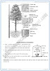 transport-detailed-question-answers-biology-9th