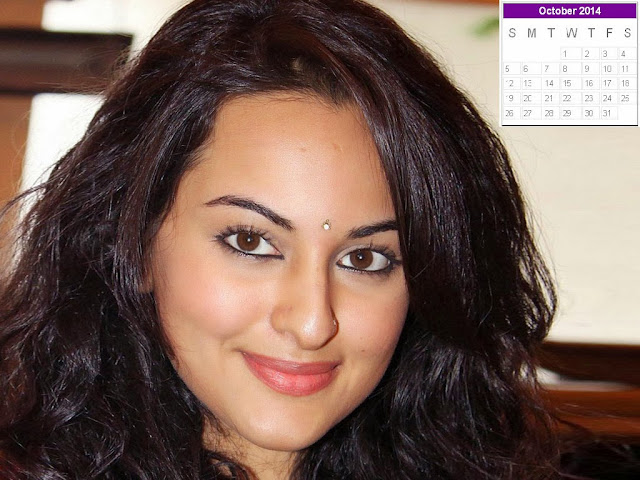 Sonakshi Sinha Calendar 2014