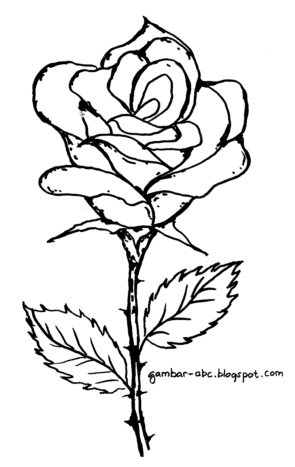 Sketsa Mewarnai Bunga Mawar untuk Anak - Dunia Putra Putri