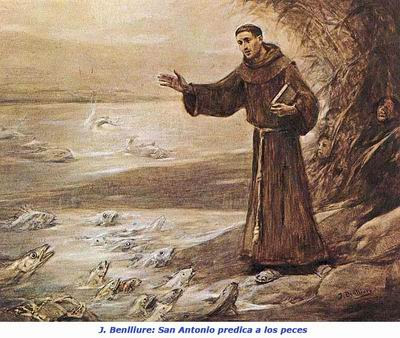Resultado de imagem para santo antônio de pádua franciscano