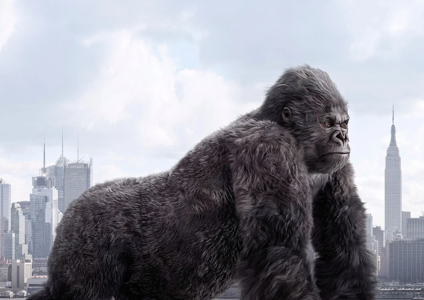 Saddington & Baynes - Creative Retouching - Gorilla
