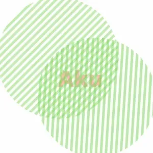 rasa-malu