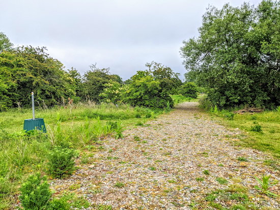 Colney Heath footpath 11 approaching Butterwick Brook