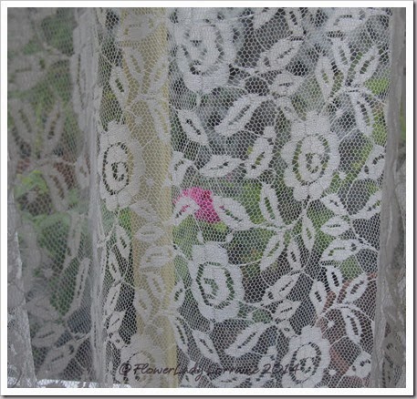 02-12-rose-de-rescht2