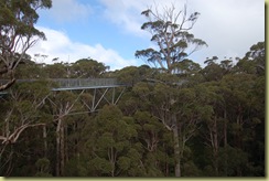 Aerial Walkway