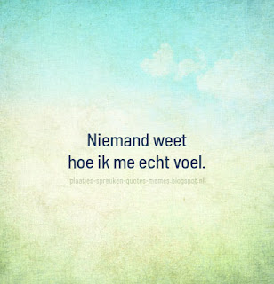plaatjes met nederlandse spreuken