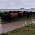 TEMPORAIS CAUSAM NOVOS TRANSTORNOS PARA PRODUTORES RURAIS NO RS