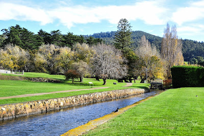 亞瑟港, port arthur