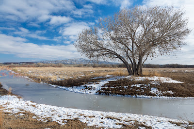 John P. Taylor, Jr. Memorial Trail, Bosque del Apache