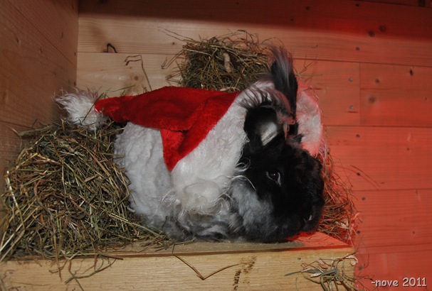 3.advent 022