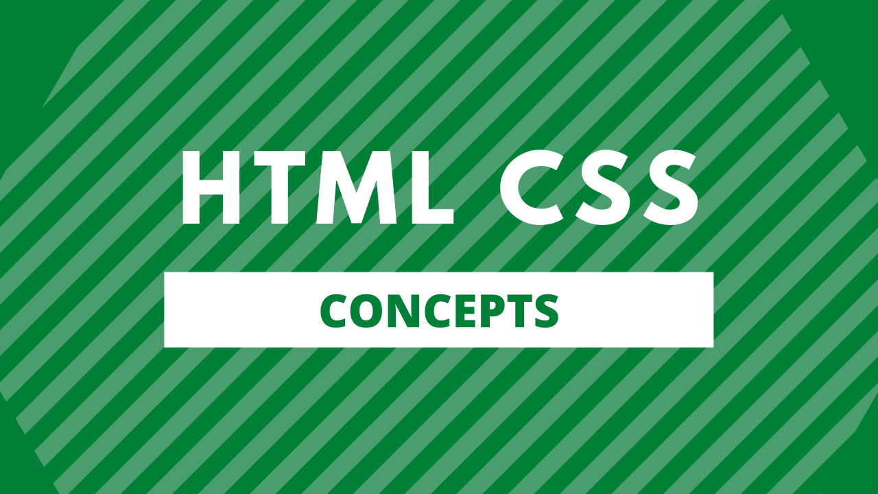 The Label Tag in HTML: A Beginner's Guide