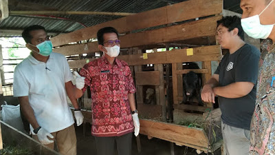 Dinas TPHP Muba Turun ke Lapangan Cek Kesehatan Hewan Kurban