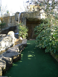 On Safari Adventure Golf at Paradise Wildlife Park in Broxbourne